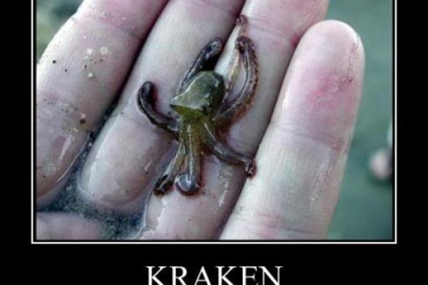 Kraken 2krn at